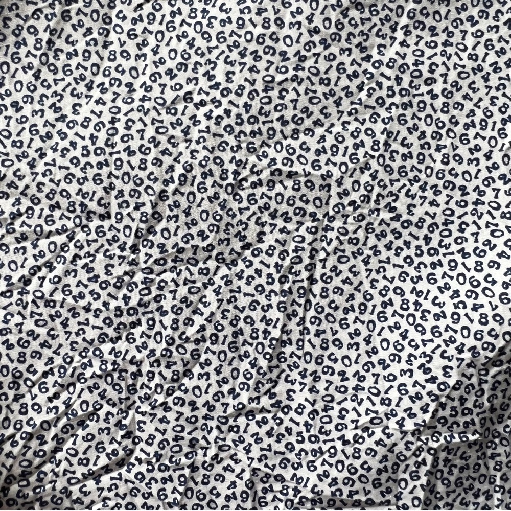 Frank And Eileen Barry Numbers Button Down | Small - image 7